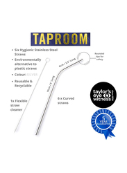 Taylor'S Eye Witness 6-Piece Stainless Straws with Cleaner, Silver