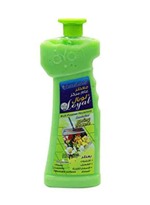 

Loyal Concentrated Multi-Purpose Deodorizer with Spring Flowers Household Cleaner, 700ml