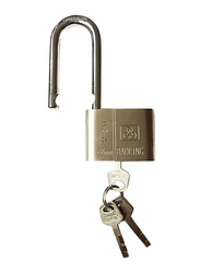 Abbasali Medium Brass Pad Lock 60/70mm - Golden  B07MWJ7W92 Buy, Best  Price in UAE, Dubai, Abu Dhabi, Sharjah