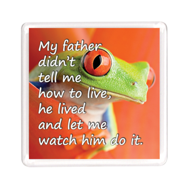 Ajooba Dubai Dad Love Magnet 2349, Transparent