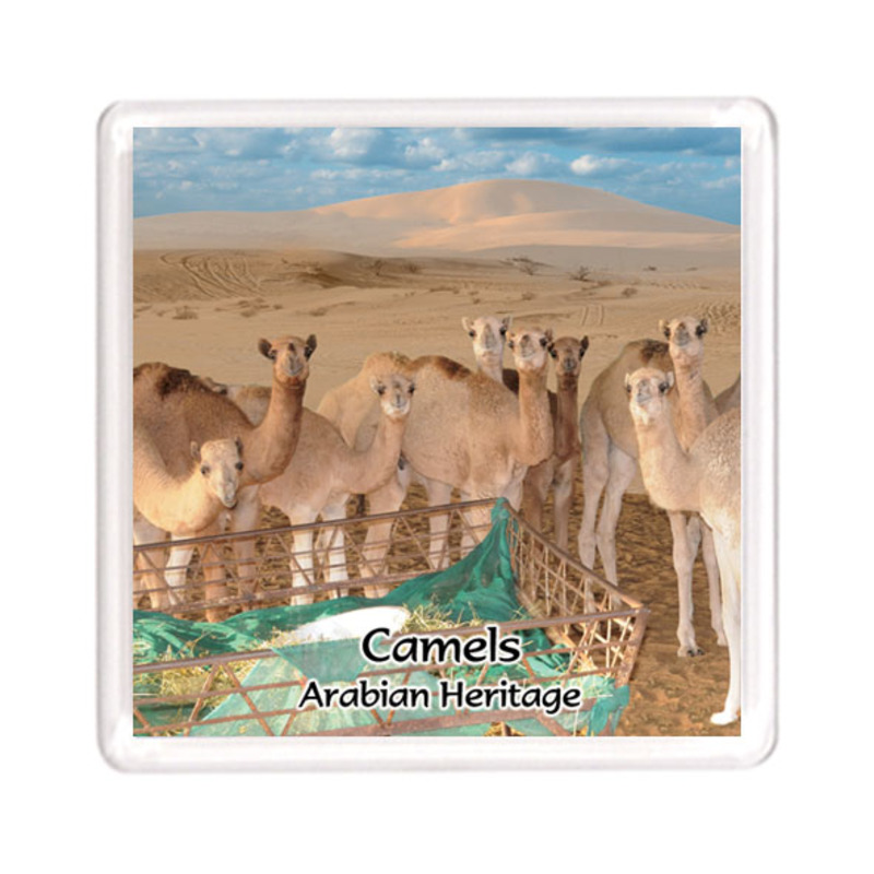 Ajooba Dubai Souvenir Magnet Camel Arabian Heritage MCA 0010, Transparent