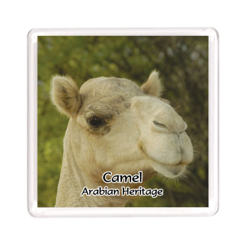 Ajooba Dubai Souvenir Magnet Camel Arabian Heritage MCA 0004, Transparent