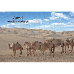 Ajooba Dubai Souvenir Puzzle Camel Arabian Heritage MCA 0002, White