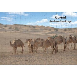 Ajooba Dubai Souvenir Puzzle Camel Arabian Heritage MCA 0009, White