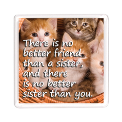 Ajooba Dubai Sister Love Magnet 2339, Transparent