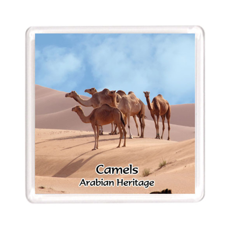 Ajooba Dubai Souvenir Magnet Camel Arabian Heritage MCA 0003, Transparent