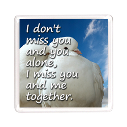 Ajooba Dubai Love Friendship Magnet 2226, Transparent