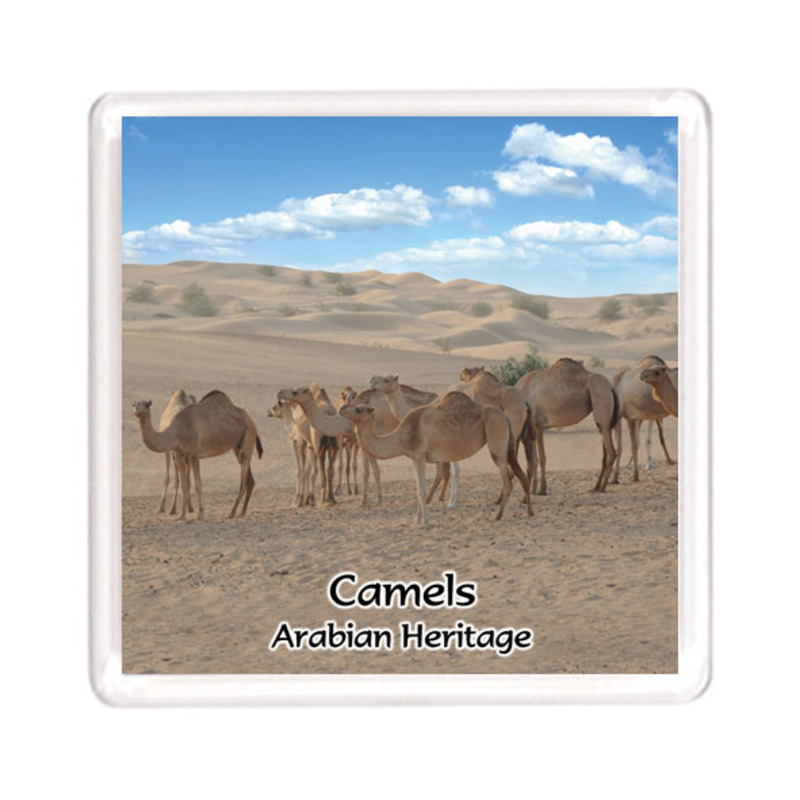 Ajooba Dubai Souvenir Magnet Camel Arabian Heritage MCA 0002, Transparent