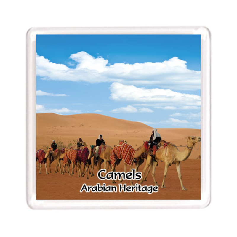 Ajooba Dubai Souvenir Magnet Camel Arabian Heritage MCA 0012, Transparent