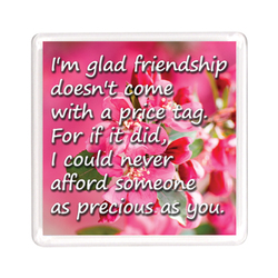 Ajooba Dubai Friendship Magnet 2331, Transparent