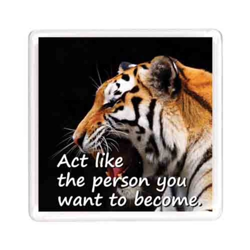 Ajooba Dubai Motivation Magnet 7656, Transparent