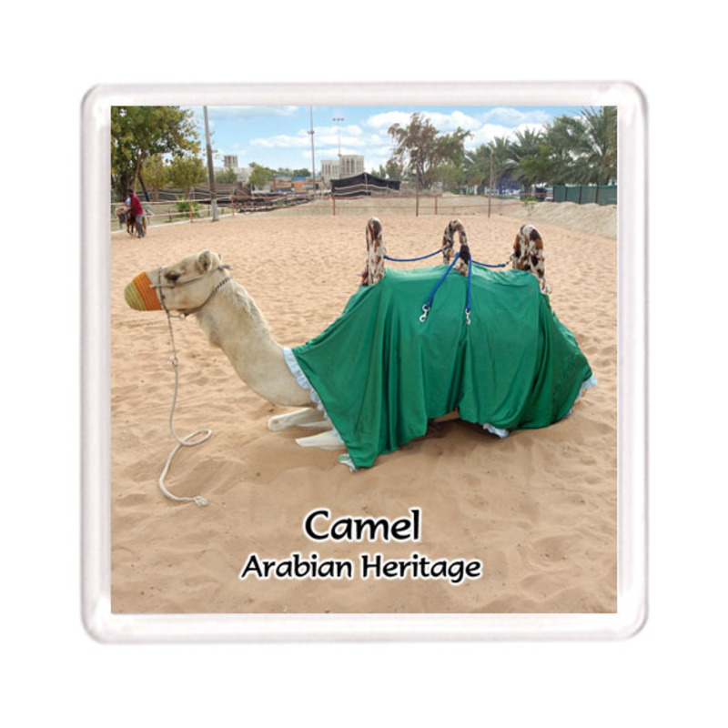 Ajooba Dubai Souvenir Magnet Camel Arabian Heritage MCA 0006, Transparent