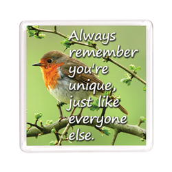 Ajooba Dubai Motivation Magnet 2234, Transparent