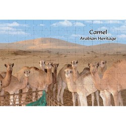 Ajooba Dubai Souvenir Puzzle Camel Arabian Heritage MCA 0011, White