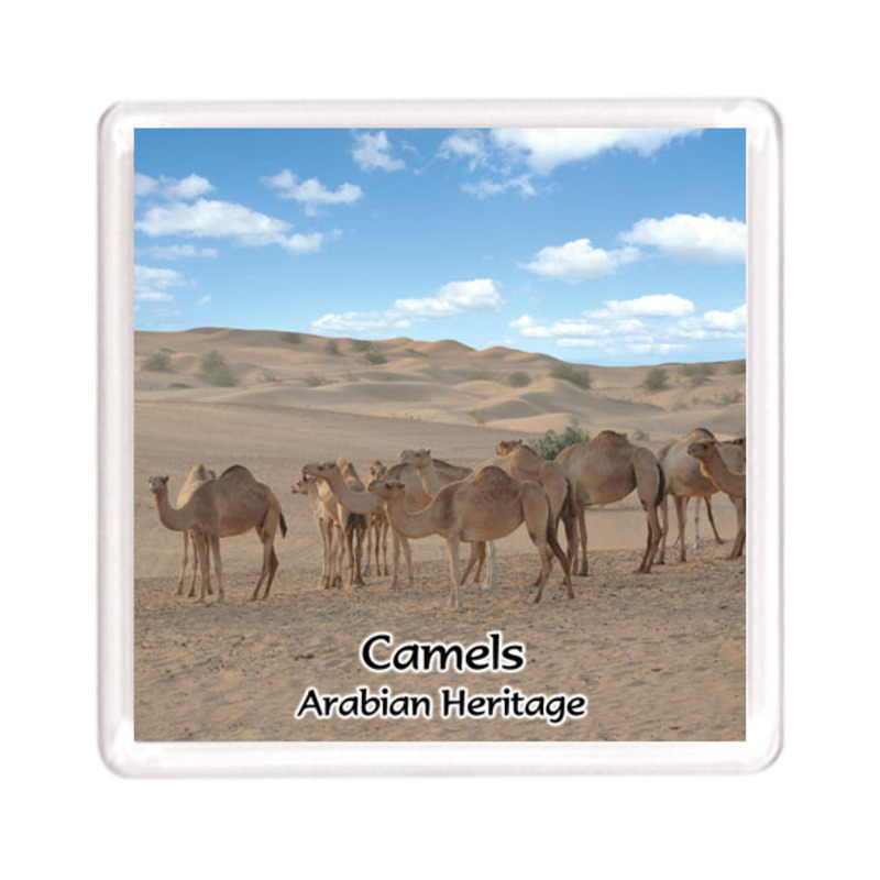 Ajooba Dubai Souvenir Magnet Camel Arabian Heritage MCA 0009, Transparent