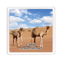 Ajooba Dubai Souvenir Magnet Camel Arabian Heritage MCA 0005, Transparent
