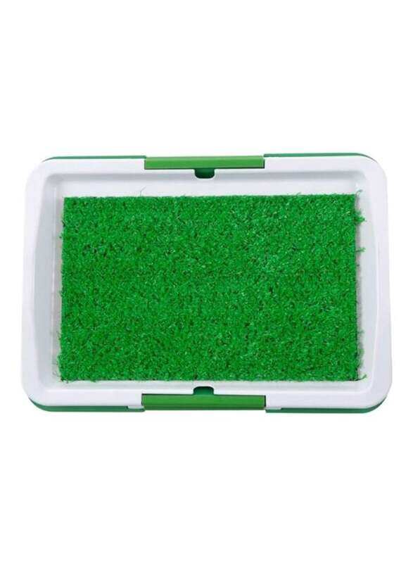 

Generic Potty Training Pad, Green/White