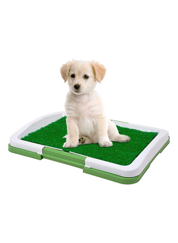 

Generic Puppy Potty Trainer, Green/White