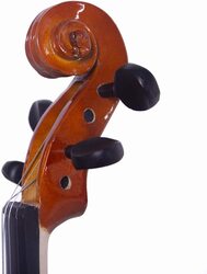 MegArya Acoustic Semi Professional 4/4 Violin With Bow Case And Rosin, Mahogany