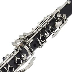Daseey B Flat Clarinet Ebonite 17 Keys Trumpets System with Case Shoulder Straps, Black/Silver