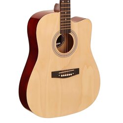 MegArya Acoustic Guitar for Students And Beginner With Bag, Natural