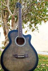 MegArya 40-inch TBS Acoustic guitar, Multicolour