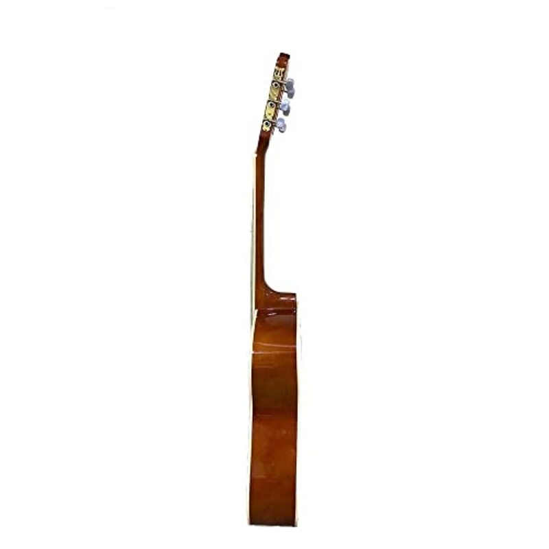 MegArya 39-inch Classical Guitar, Brown