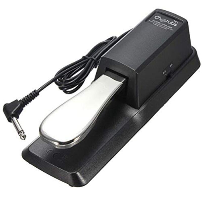 Supvox WTB-005 Universal Sustain Pedal for Yamaha/Roland/Casio/Korg/Behringer/Moog Midi Keyboards & Digital Pianos, Black/Silver