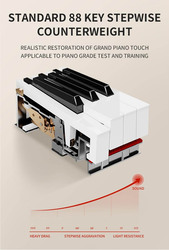 MegArya MDP-500 Professional Design Upright Digital Piano, 88 Keys, Black
