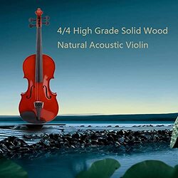 MegArya 1/2 Violin For Kids, Adults, Beginners, Full Size Maple Beginner Violins Kit, Mahogany