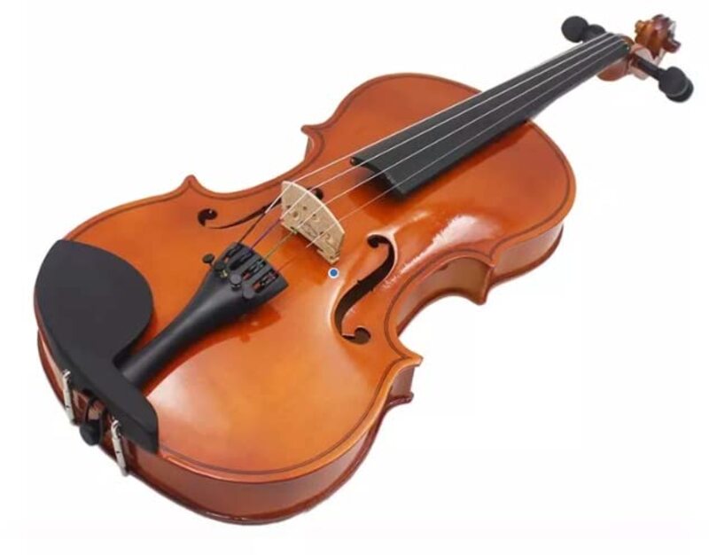 MegArya 1/8 Student Violin with Bow/Rosin and Carrying Case, Brown