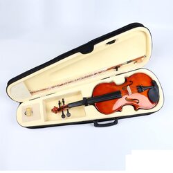 MegArya Acoustic Violin with Case Bow Rosin for Beginners, Brown