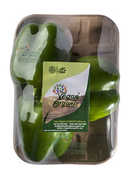 Vegan Organic Green Capsicum, 500g