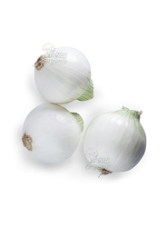 Vegan Organic Garlic, 250g