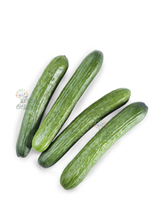 Vegan Organic Cucumber, 500g