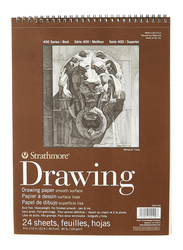 Strathmore 400 Series Drawing Paper Pad, 24 Sheets, 9 x 12 inch, Multicolour