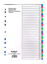 Modest 1-31 Divider, 10 Piece, Multicolour