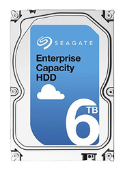 Seagate Enterprise Capacity 6TB SATA 12GB/s 7200 RPM 256MB Cache Internal Hard Drive, Silver