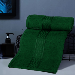 BYFT Home Ultra (Green) Premium Hand Towel  (50 x 90 Cm - Set of 4) 100% Cotton Highly Absorbent, High Quality Bath linen with Checkered Dobby 550 Gsm