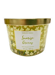 BYFT Sunrise Greens Jar Candle with Iconic Design & Bergamot & Basil Scent, 425g, Green