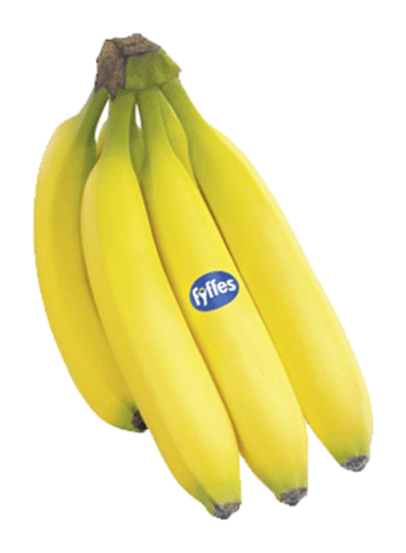 Fyffes Organic Equador Banana, 1 Pack