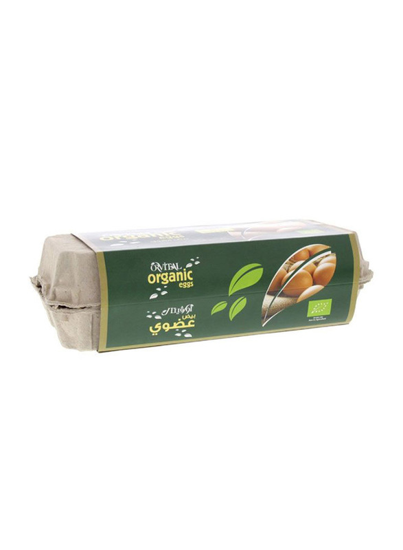 Orvital Organic Medium Eggs Box, 6 Pieces