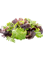 Lets Organic Mix Lettuce Italy, 100g