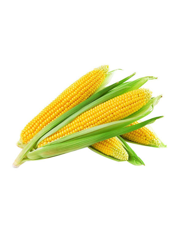 

Lets Organic Cooked Sweetcorn, 2 Pieces