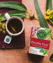 Traditional Medicinals Organic Breathe Easy Herbal Tea, 16 Tea Bags