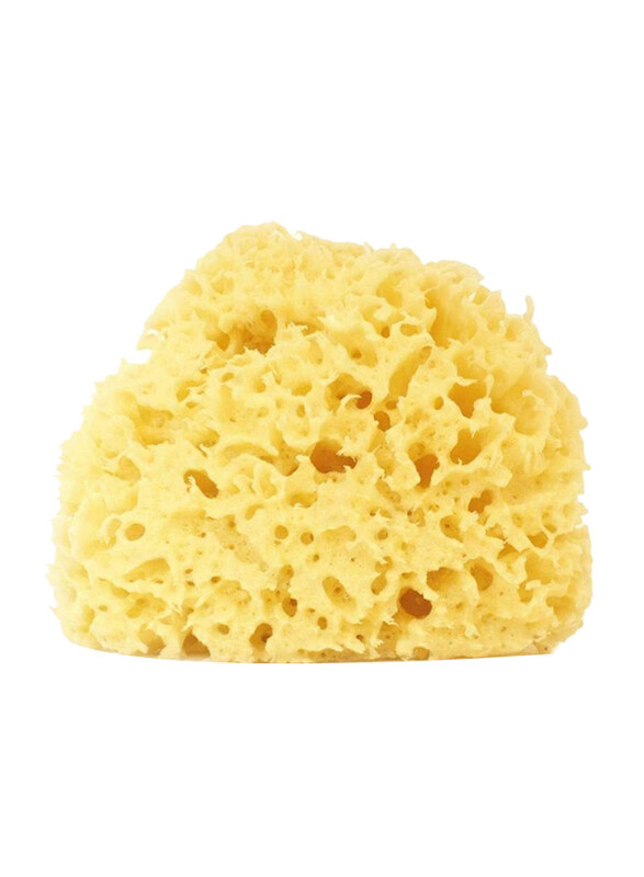 

Sea Sponge Organic Natural Large Sponge, 14cm, Yellow