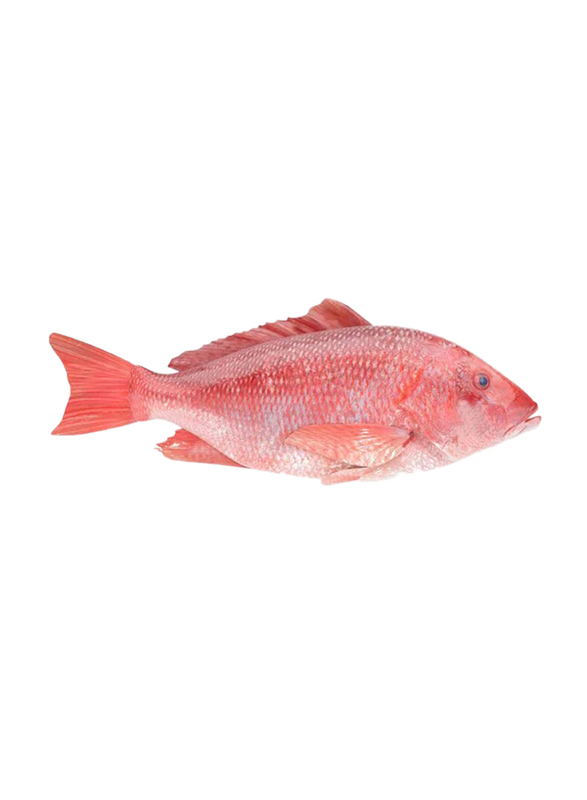 Lets Organic Fresh Red Snapper, 1 Piece