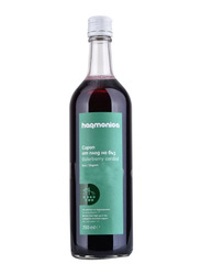 Harmonica Organic Elderberry Cordial Glutenfree Vegan, 750ml