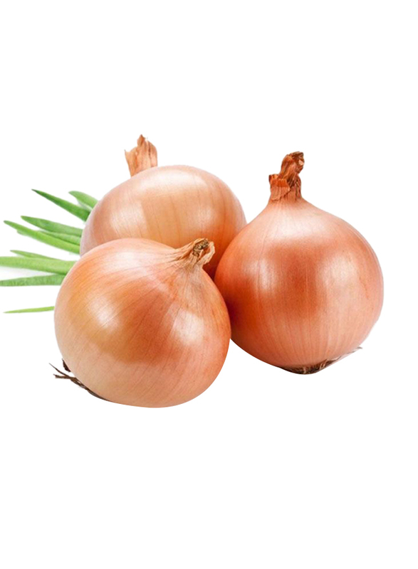 Lets Organic Onion Yellow Holland, 500g