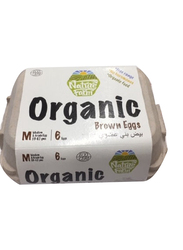 Nature Farm Organic Brown Eggs, 6 Pieces